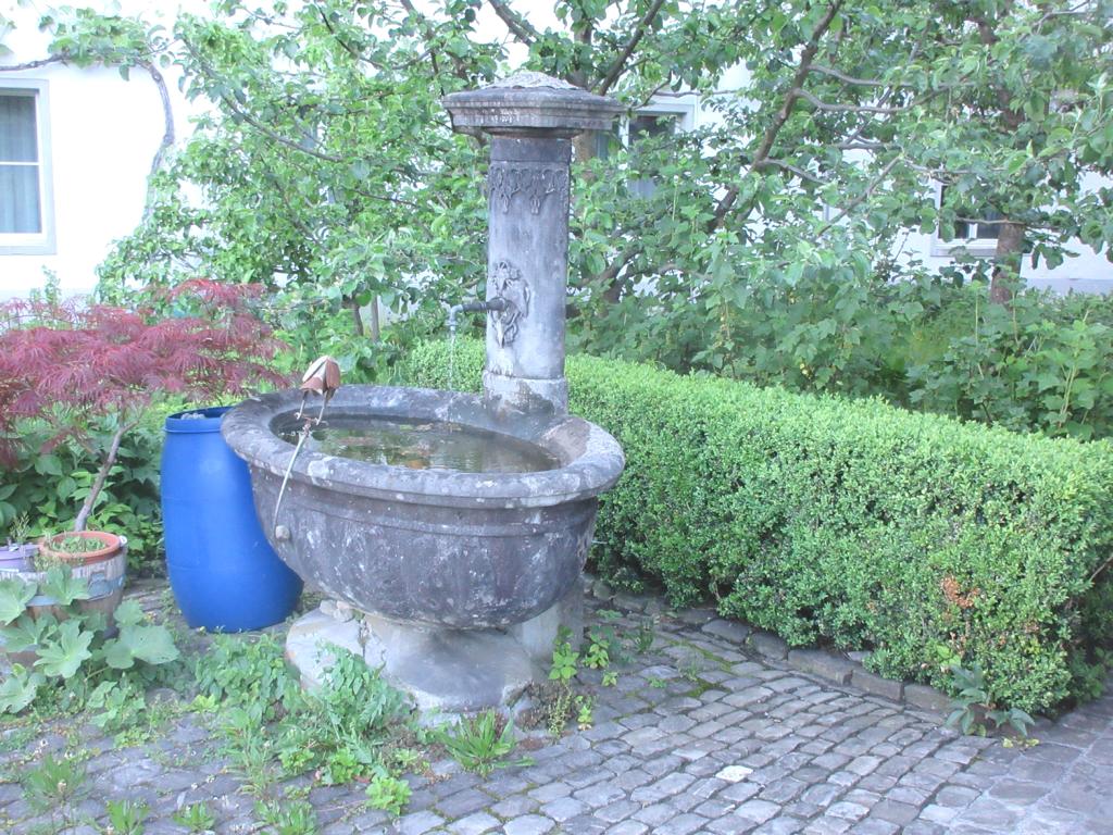 Trümpyhaus, Mühlestr. 8 *** o.J. *** Beton *** Beton *** Brunnen im Garten der Fabrikanentenvilla (1834/35)