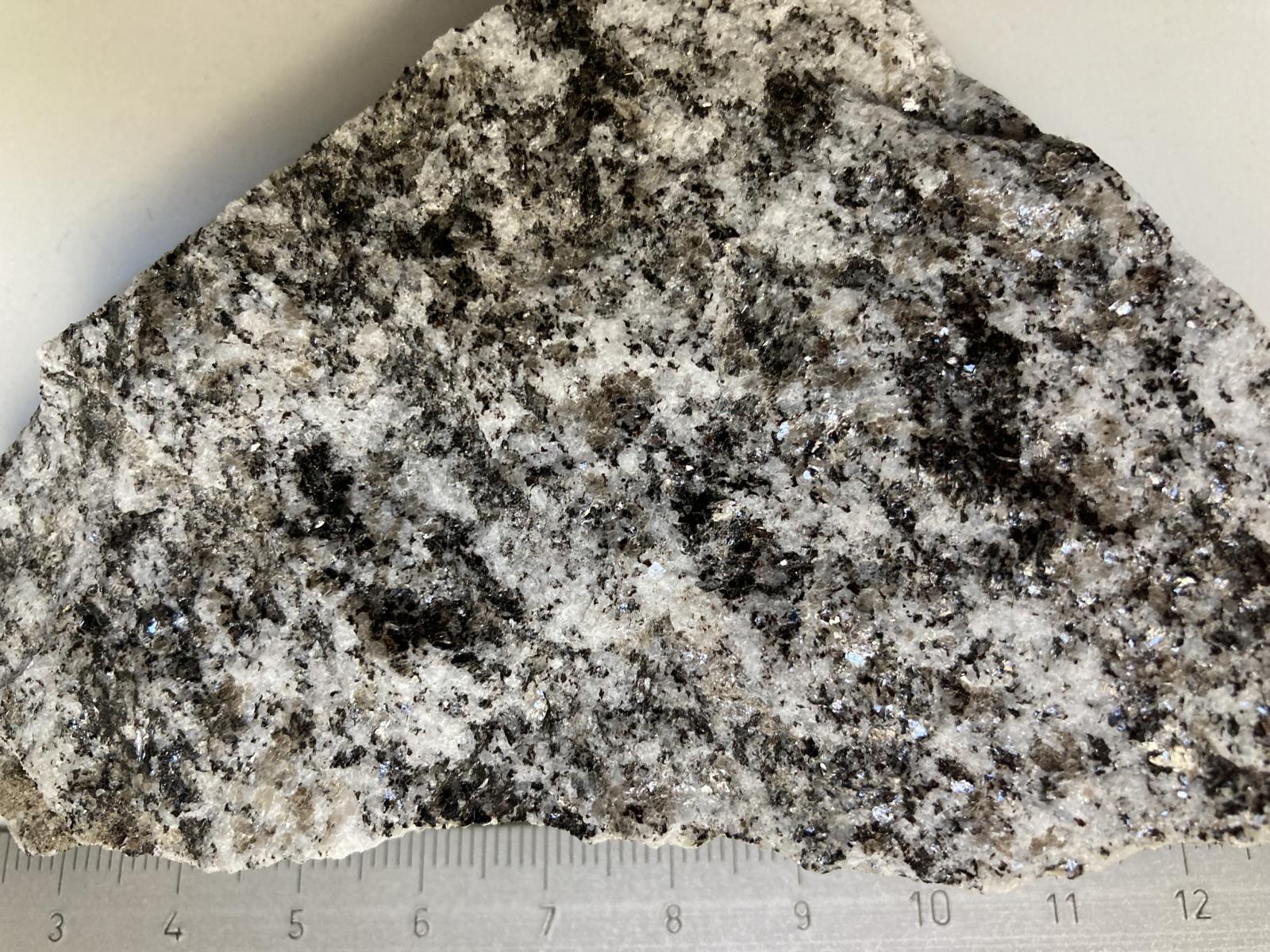 Handstück aus dem Steinbruch Giannini Graniti, Lodrino: Zweiglimmergneis mit Biotit
(schwarz) und Muskovit (silbrig glänzend). Handstück aus dem Steinbruch Giannini Graniti, Lodrino: Zweiglimmergneis mit Biotit
(schwarz) und Muskovit (silbrig glänzend).