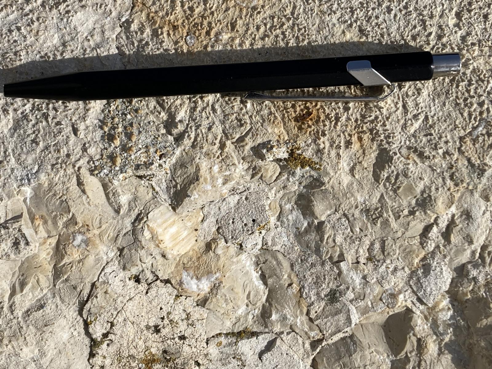 ...aus beigem Malmkalk mit Muschelbruchstücken (ein grosses Stück links der Bildmitte). ...aus beigem Malmkalk mit Muschelbruchstücken (ein grosses Stück links der Bildmitte).