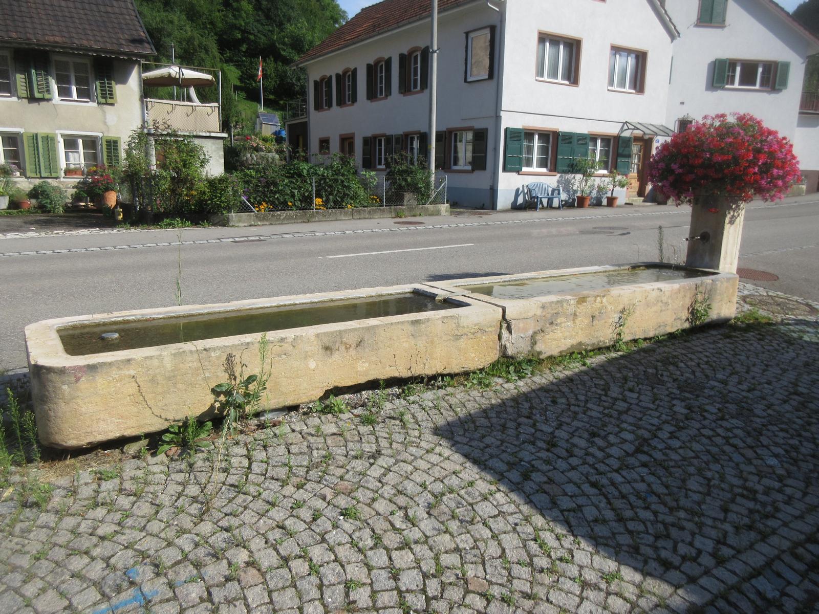 Ungerdorf / Hauptstrasse 40 *** o.J. (19. Jh.?) *** Laufener Kalkstein (2 monolithische Becken total 5.8 x 1.0 m) *** Laufener Kalkstein *** Ehemaliges Meltinger Mineralwasser speist heute die Dorfbrunnen.