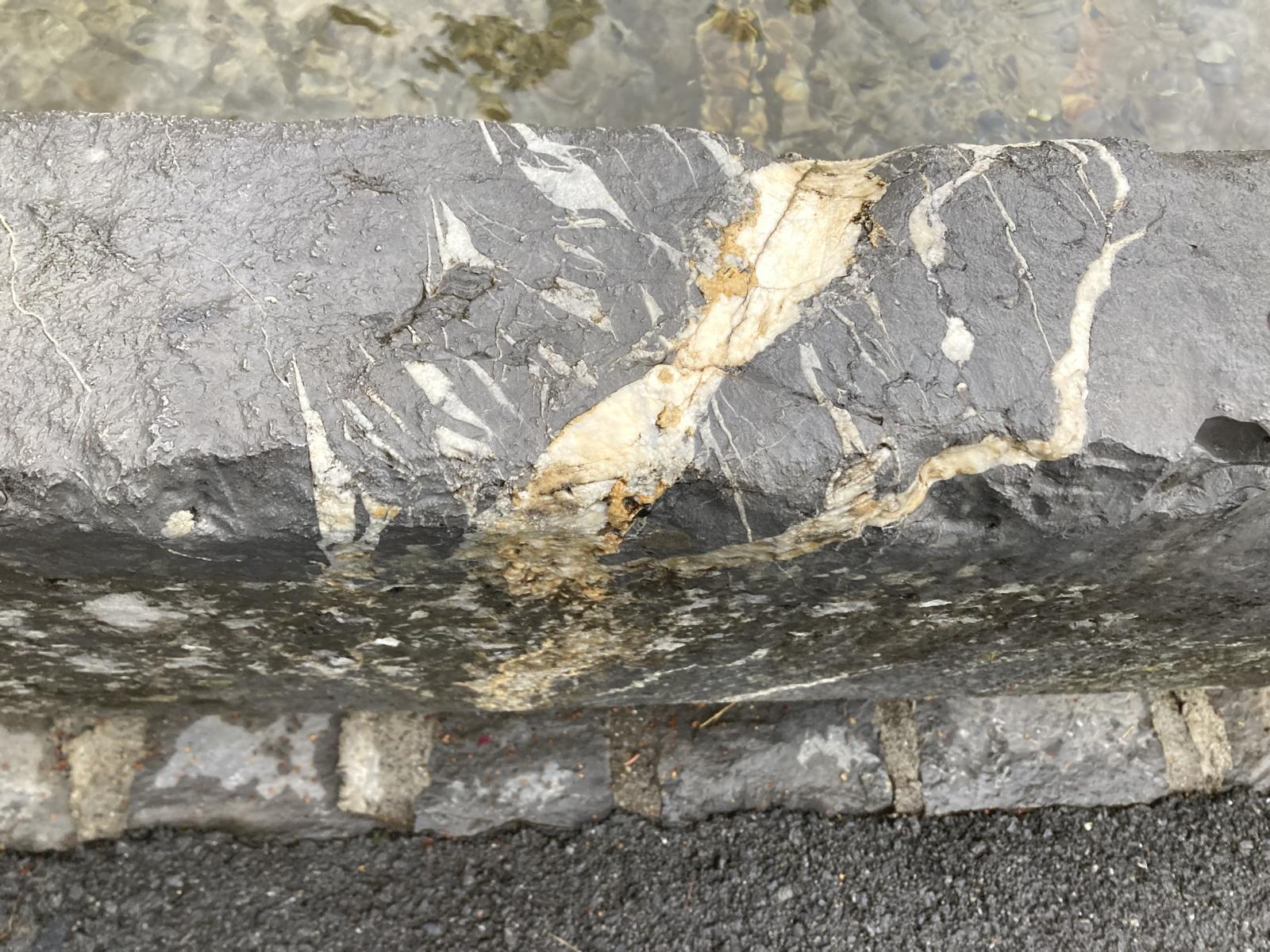 ...dunkelgrau-schwarzer Quintner Kalk mit gelber Kalkader und weissen Fiederklüften. ...dunkelgrau-schwarzer Quintner Kalk mit gelber Kalkader und weissen Fiederklüften.